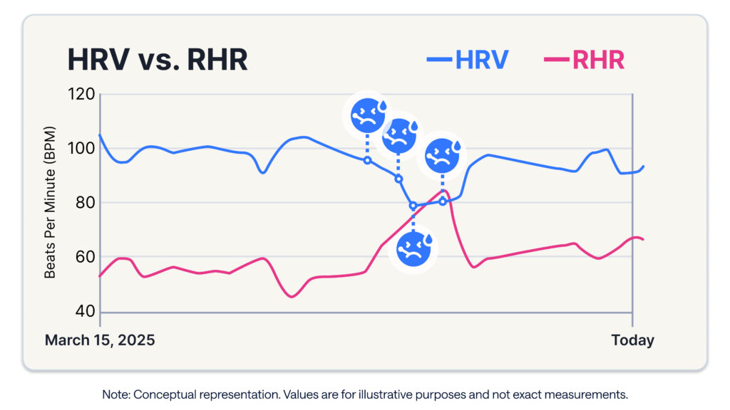 HRV Prediction