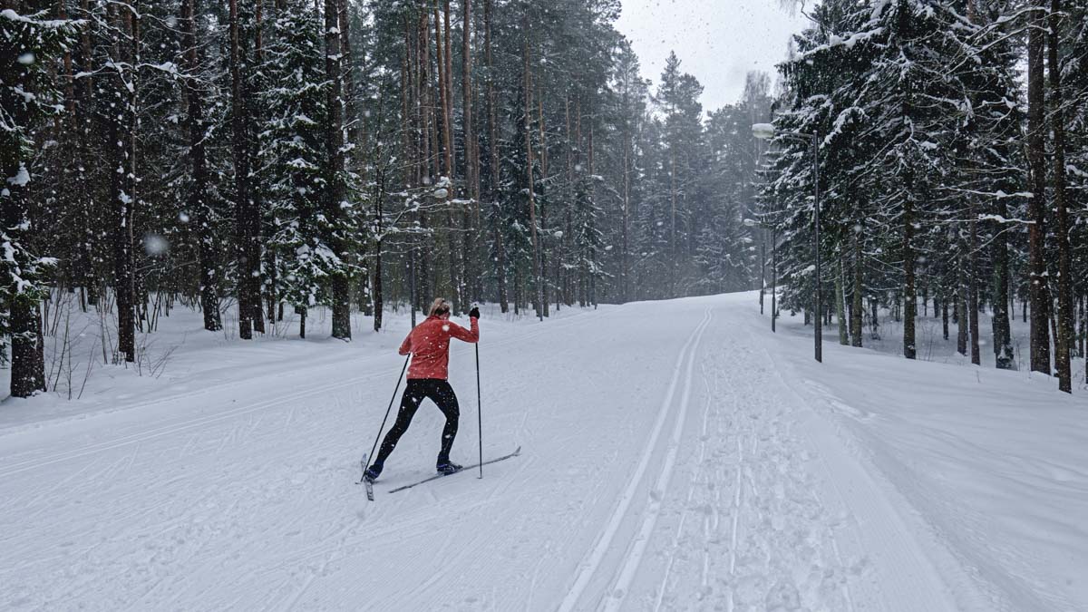 Young Adult Caucasian Female Practising Cross Country Skiing On Young Adult Caucasian Female Practising Cross Country Skiing On
