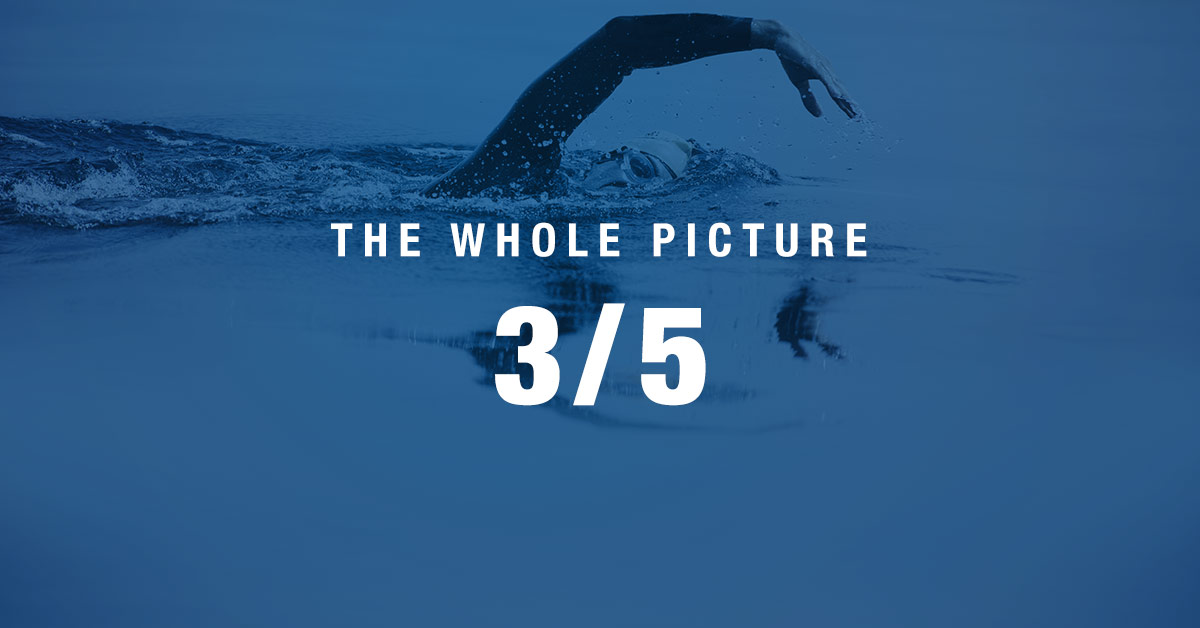 Whole Picture Social 1200×628 3of5 Whole Picture Social 1200×628 3of5